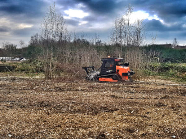 Site Clearance - WSH Services - Vegetation Contractors