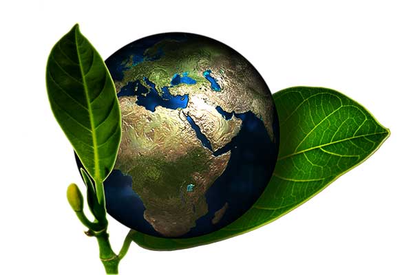 WSH Services - Our Environmental Policy