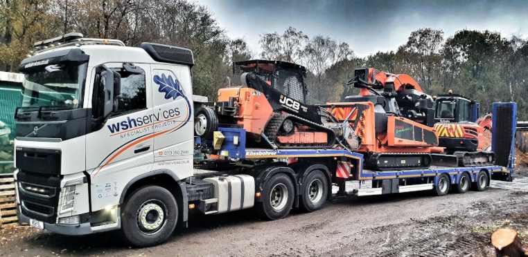 Tree Contractors Leeds
